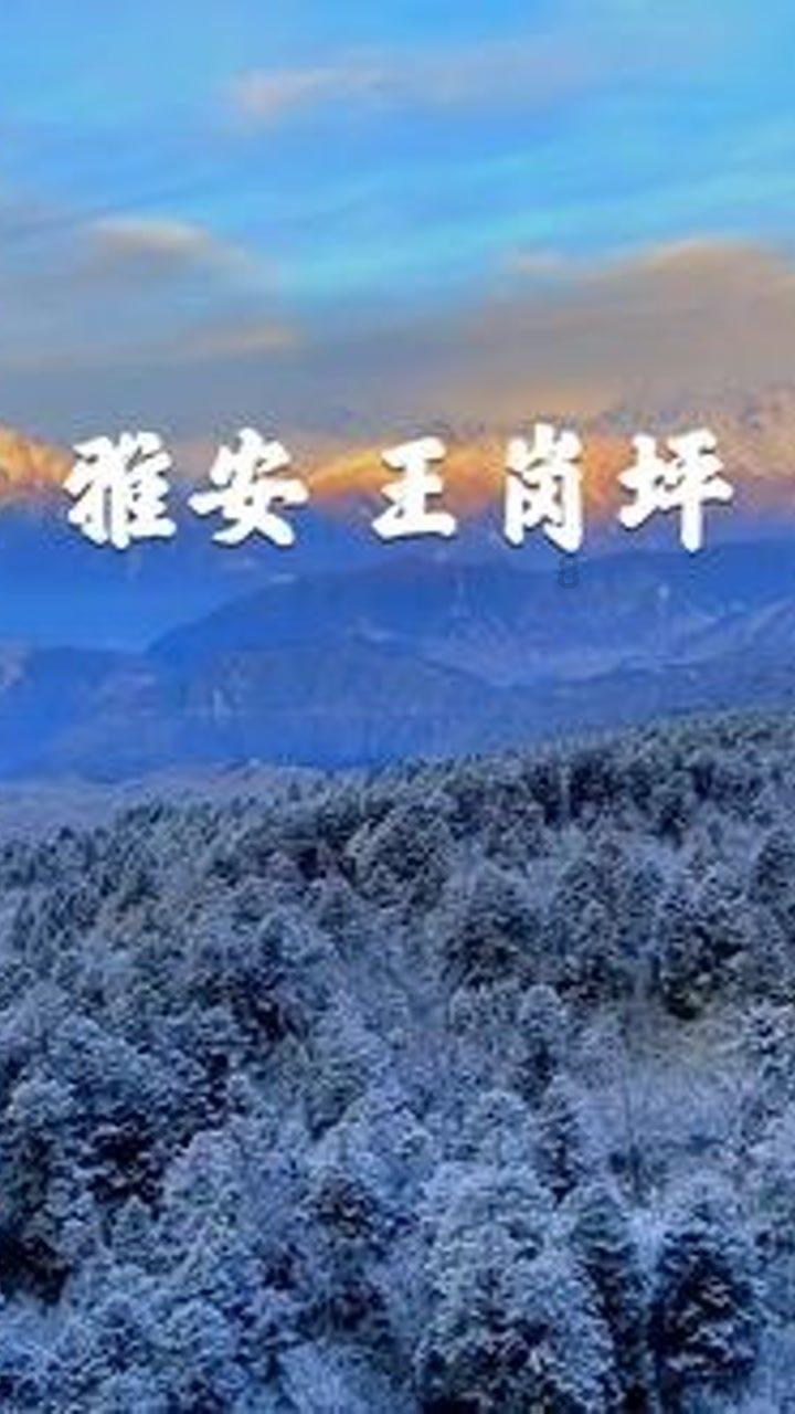会飞的鸟类中哪种最大？